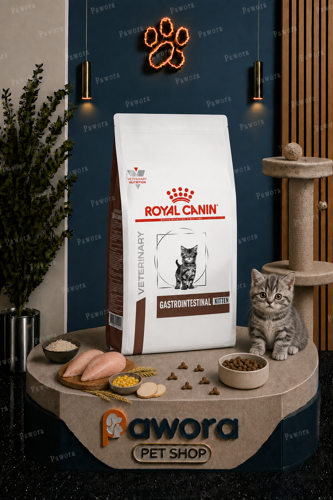 خرید و قیمت غذا خشک رویال مدل گسترو کیتن 2 کیلویی