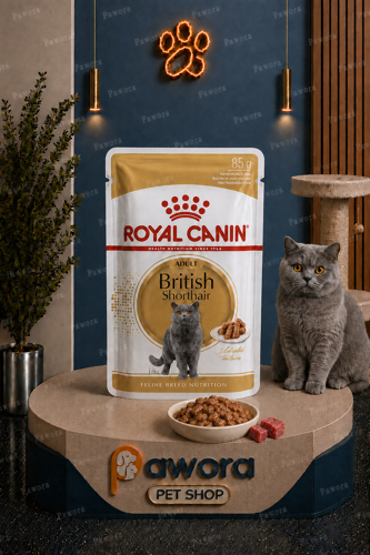پوچ رویال مدل بریتیش شورت هیر British Shorthair