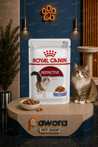 خرید و قیمت پوچ رویال مدل اینستینکتیو Instinctive