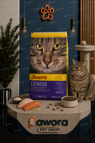 خرید و قیمت غذا خشک جوسرا مدل کولینس Culinesse